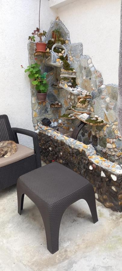 Casa De Vacanta Bucuria Marii 康斯坦察 外观 照片